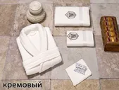 Bioflores Мужской набор (халат+ полотенце 50x90+90x150) Karna