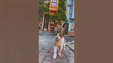Поставщик одежды оптом из Турции. #детскаяодежда #женскаяодежда #аксессуары #обувь #оптомодежда #узб